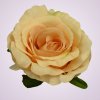 LY9905 ruža-lt peach