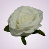 LY9905 ruža- pure white