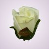 LY9907 ruža - cream tch