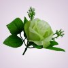 ML6031 ruža lt green