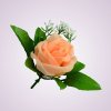 ML6031 ruža peach 09#
