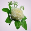 ML6031 ruža dk cream 50#