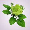 ML6031 ruža green 07#