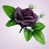ML6031 ruža purple aut 13#