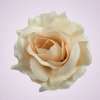 ML6041 ruža -beige