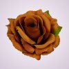 ML6041 ruža -brown tch green