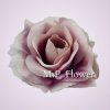 ML6041 ruža -dk pink/tch