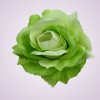 ML6041 ruža -lt green