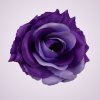 ML6041 ruža -lt lilac