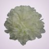 MP17045 chryzantéma- white green