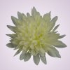 MP17065 chryzantéma- cream
