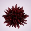 MP17065 chryzantéma- dk red