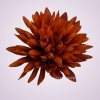 MP17065 chryzantéma- orange