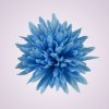 MP17065 chryzantéma- blue