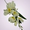 MP19002 gladiola - cream