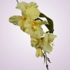 MP19002 gladiola - lt yellow aut