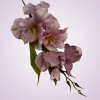 MP19002 gladiola - mauve