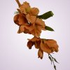 MP19002 gladiola-brown aut