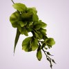 MP19002 gladiola-green aut