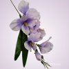 MP19002 gladiola- lt lilac