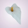 MP19005 kala - white