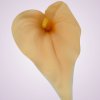 MP19005 kala - peach