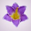 MP216500 ľalia - lavender