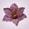 MP216500 ľalia- mauve