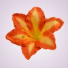 MP216500 ľalia - orange