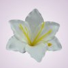MP216500 ľalia - pure white