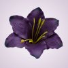 MP216500 ľalia - purple