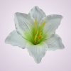 MP216500 ľalia -white green