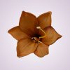 MP223327 ľalia - lt brown
