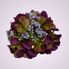 MP548 Hortenzia - purple