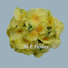 RH9911 hortenzia- lt yellow