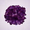 RS1008 chryzantéma -purple