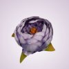 RS234395 pivónia - lilac-tch-11