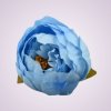 RS234395 pivónia - lt blue