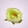 RS234395 pivónia - lt green 03