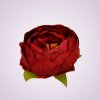 RS234395 pivónia - red 13