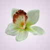 W017orchidea - mint