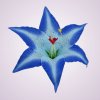 W661 ľalia - blue