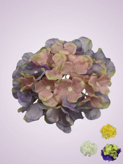 C10012 hortenzia