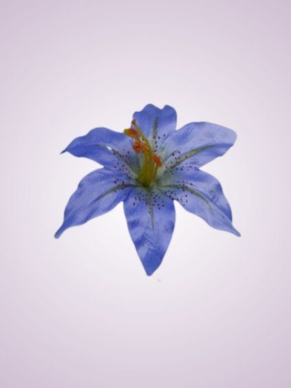 FME071145 modro fialova