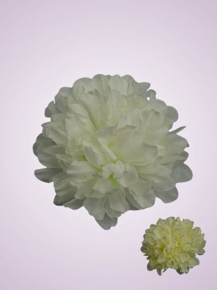 MP17045 Chryzantémová