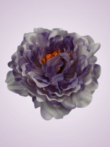 RS233998 pivónia lavender
