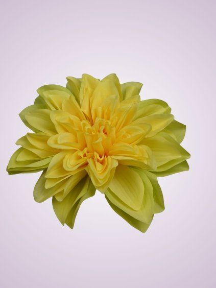 FYS070 dália yellow green