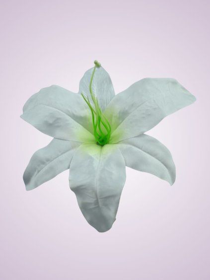 1160 34 ľalia white