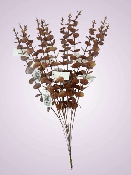 PS017917PT eukalyptus kus 51 cm hnedy