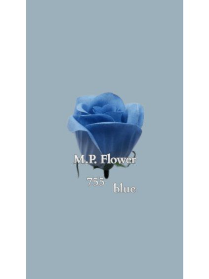 M.P. Flower 15